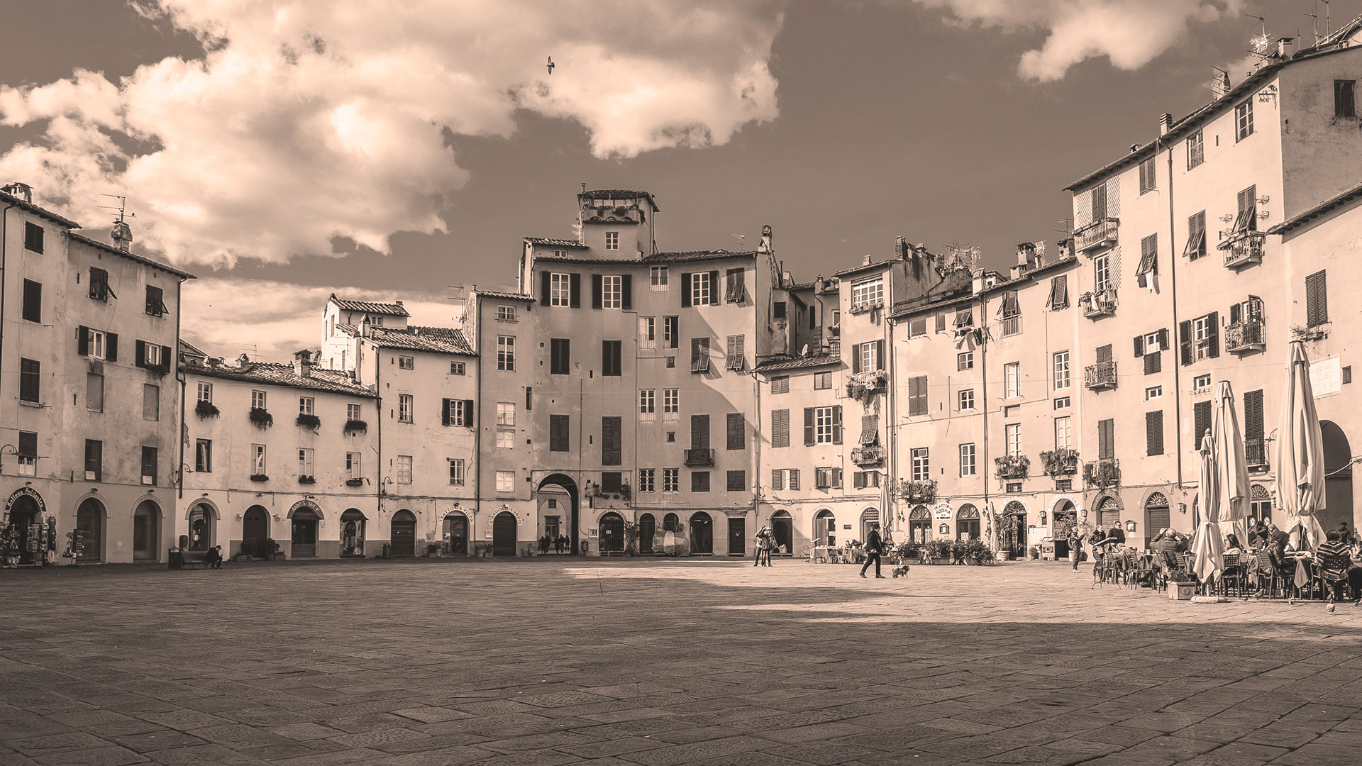 Bertolli History and Heritage: A Delicious Journey of Authentic Italian Flavor!